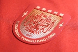 中国足球vs重庆铜梁龙直播_中国足球vs重庆铜梁龙比赛回放_中超高清直播在线观看